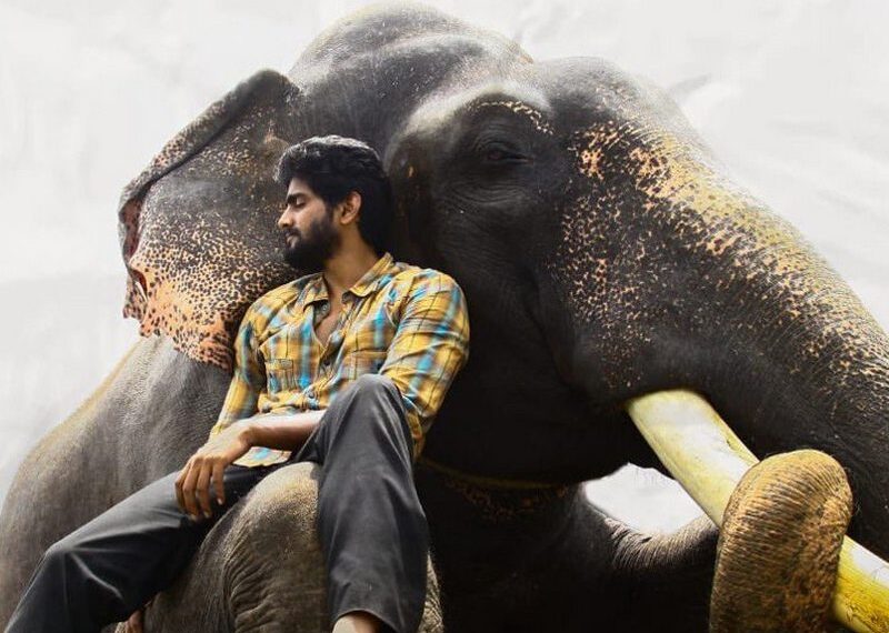 kumki 2